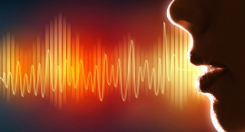 Voice activation. Photo: PR