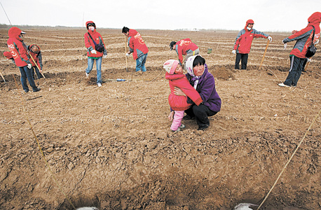 אדמות חקלאיות במונגוליה שהפכו צחיחות, גם בעקבות גידול והשקיית יתר