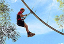 האומגה הכי ארוכה בעולם, צילום: treetopcrazyrider.com.au
