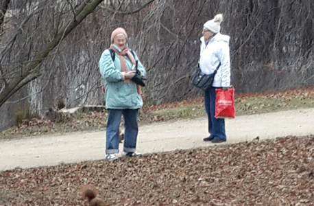 קשישות פולניות מאכילות סנאים בפארק