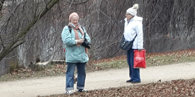 קשישות פולניות מאכילות סנאים בפארק, צילום: דוד הכהן