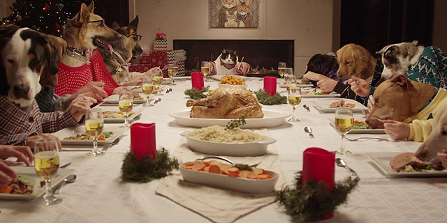 ויישב חתול עם כלב סביב שולחן חג המולד