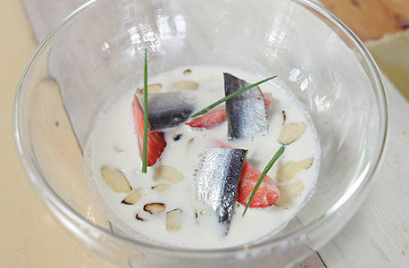 צבי אבישר, יפו-תל אביב