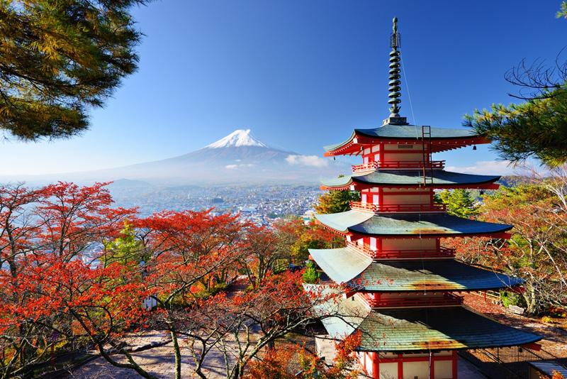 הר פוג'י ביפן. 11 מיליון תיירים בשנה החולפת