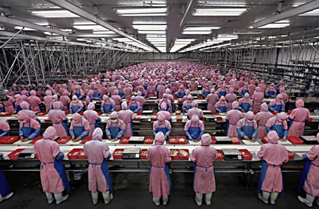מערך ייצור אייפונים במפעל פוקסקון
