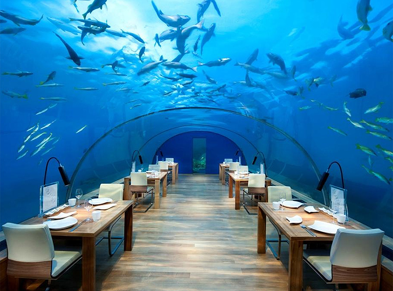 מלצר, יש לי דג מעל הראש: המסעדות המוזרות ביותר בעולם