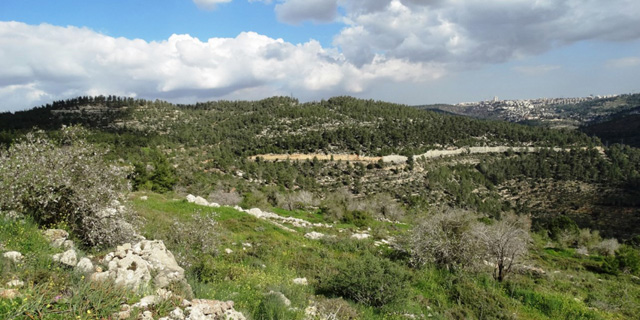 הדיון על בניית העיר החדשה בת הרים במועצת מקרקעי ישראל הסתיים ללא החלטה