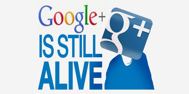 האם גוגל הורגת ברכות את הרשת החברתית שלה? 