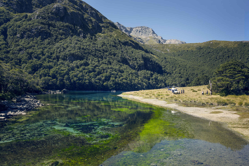 אגם כחול בניו זילנד. הצלול בעולם, צילום: Klaus Thymann of Project Pressure
