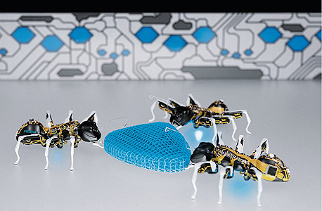 נמלים ביוניות