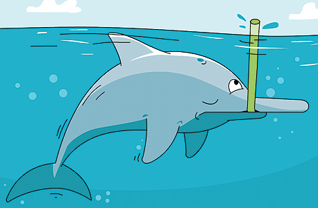 אשף השינה הקצרה הוא הדולפין נהרן האינדוס, שחייב לשחות ללא הפסקה כדי לא להיסחף. אז הוא מסתפק בפרצי שינה שנמשכים כמה שניות עד דקה, איור: ערן מנדל