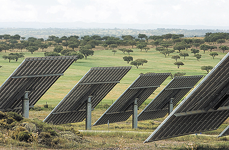 פאנלים סולאריים בפורטוגל. חוקרים בארה”ב המליצו להסב שטחי חקלאות לחוות סולאריות