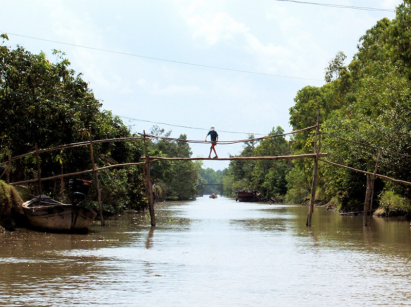 גשר קופים, וייטנאם. קיבל את שמו בשל מראה העוברים עליו