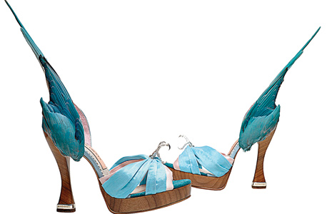 Turquoise Parakeet, קרוליין גרובס, סאטן, נוצות ועור, בריטניה, 2013
