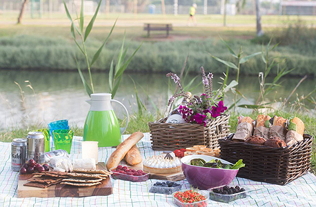 שולחן פיקניק. מימין למעלה: נקניקים מטיב טעם, טארט לימון של קארם, באגטים של לה מולאן, בירה אסהי ופירות יער ממשק עמיאל