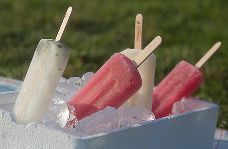 קרטיבים אלכוהוליים של תמרה ואקרמן