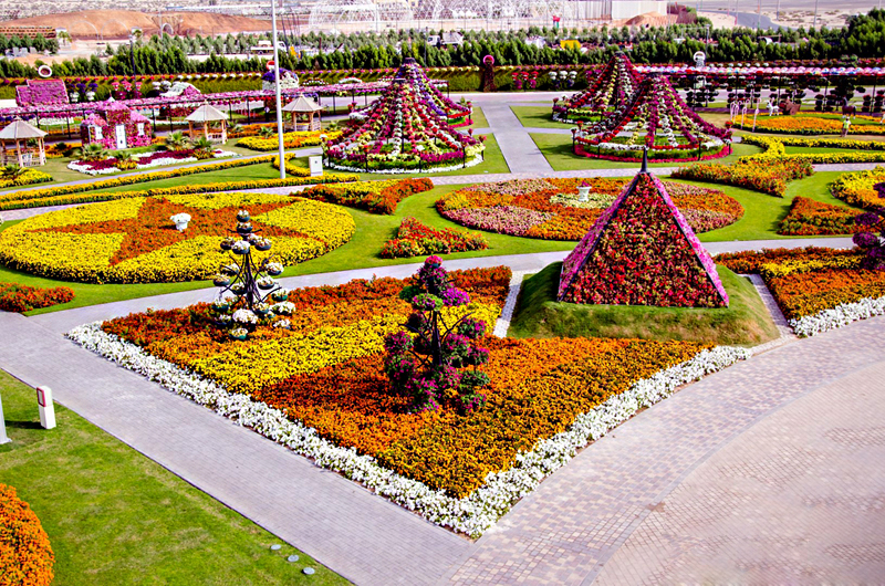  , צילום: Dubai Miracle Garden