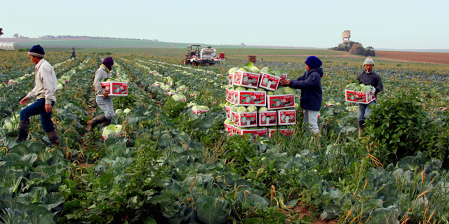 פונטיפקס מגייסת 100 מיליון דולר לסטארט־אפים חקלאיים