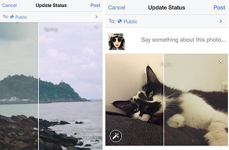 אפליקציית פייסבוק עריכת תמונות פילטרים חתול 2 