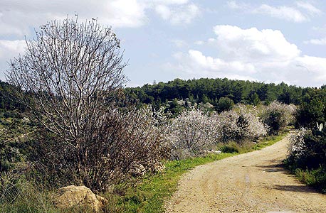 ואדי פורח וטעימות יין ואדי פורח וטעימות יין