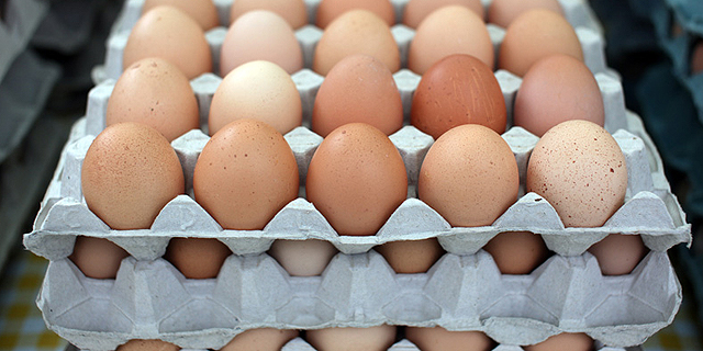 בשל תנאי מזג האוויר: מחסור בביצים ברשתות השיווק 