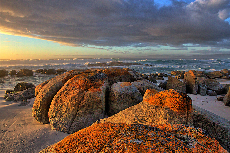 חופים קדמונים ושדים טזמניים. טזמניה, אוסטרליה, צילום: Flickr / TassieEye