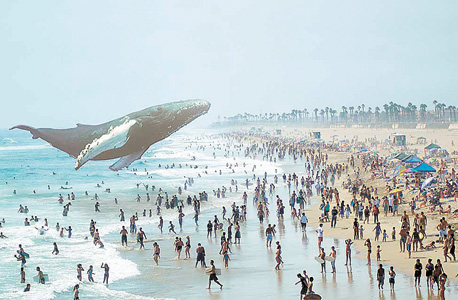 לווייתן מרחף באתר מג