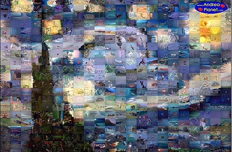 ואן גוך במוזאיקה ואן גוך במוזאיקה