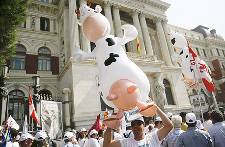 מחאת החקלאים באירופה, צילום: רויטרס