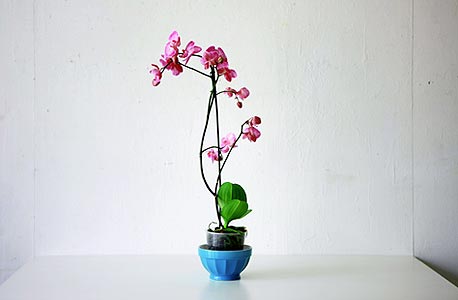 "untitled, paris", עבודה של דוד עדיקא. מיטב האמנים הישראלים