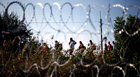 פליטים בגבול סרביה-הונגריה. רוצים להגיע לגרמניה, צילום: איי פי