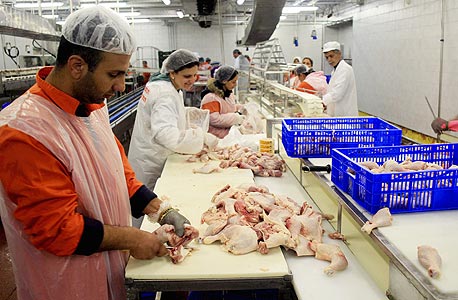 עובדי עוף העמק דורשים תוספת של 20% לשכר