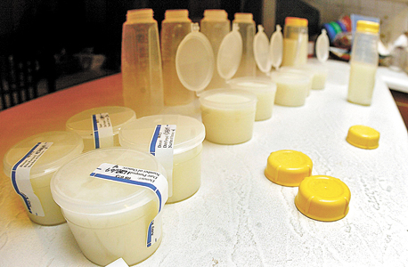 תפוקת חלב של יום אחד של תורמת באיווה, ארצות הברית. הכנסה של כמה אלפי דולרים בחצי שנה, צילום: איי פי