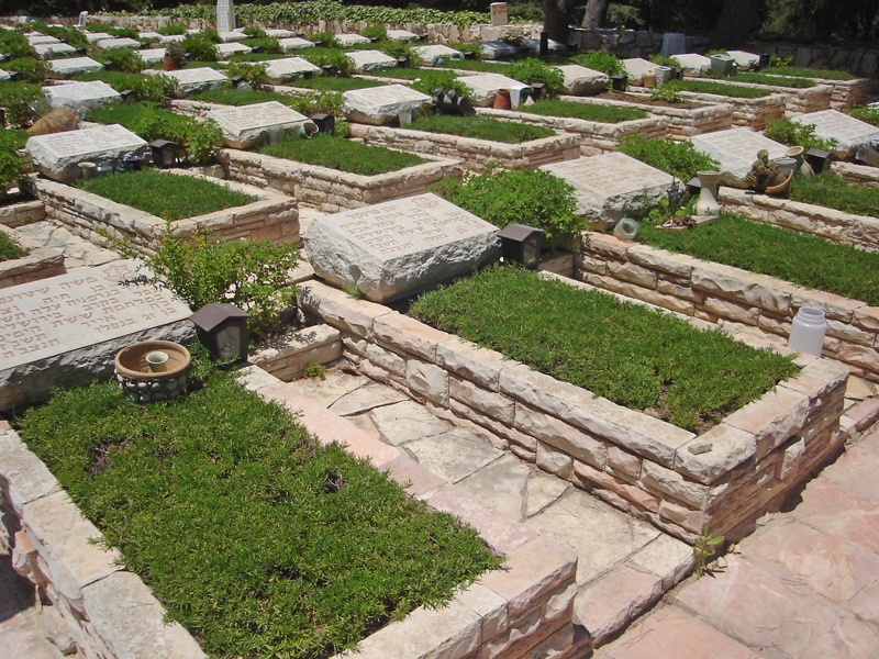 בית הקברות הר הרצל בירושלים. עצי אורן, עצי לבנון וברושים עוטפים את הקברים