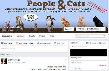 חתולים FB פייסבוק קבוצות ישראל, צילום: פייסבוק