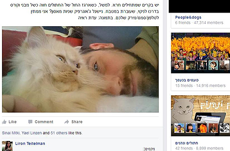 עוד חתולים FB פייסבוק קבוצות ישראל, צילום: פייסבוק