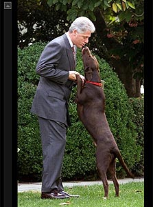 קלינטון והכלב הנשיאותי באדי, צילום מסך: slate.com