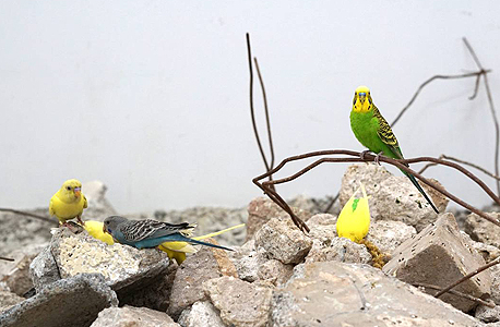 מתוך התערוכה. רות': "אני רוצה שאנשים ייצאו מהגלריה כשרגליהם מכוסות באבק ובלכלוך של הסכסוך והכאוס המזרח־תיכוניים" מתוך התערוכה. רות': "אני רוצה שאנשים ייצאו מהגלריה כשרגליהם מכוסות באבק ובלכלוך של הסכסוך והכאוס המזרח־תיכוניים"