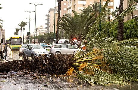 נזקי הסופה בנתניה, צילום: איי אף פי