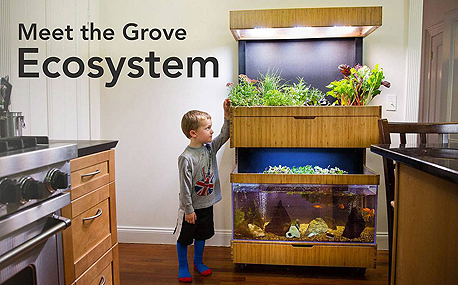 המערכת של Grove Labs 