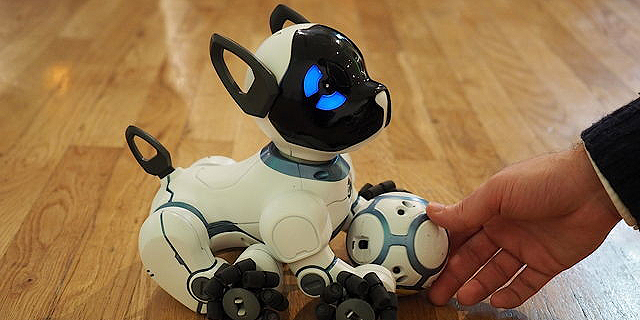 רובוט-כלב: בלי פרווה, אבל מכשכש בזנב כשתחזרו הביתה