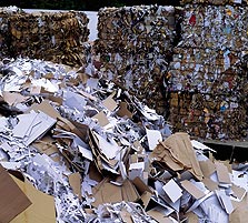 פסולת נייר. עוד רחוקה מלהיעלם, צילום: shuterstock