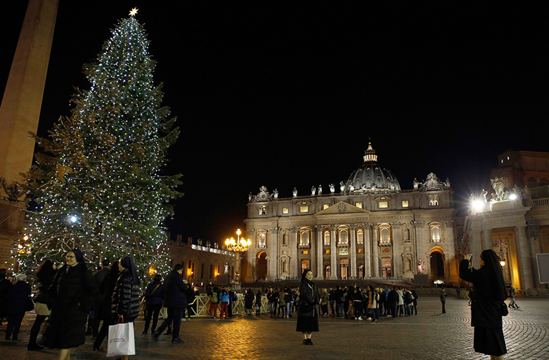 עץ האשוח הקרוב ביותר לאפיפיור