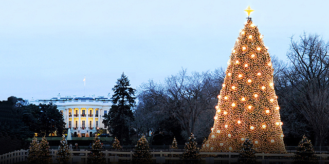 מרוקפלר סנטר ועד בית לחם: עצי חג המולד המרשימים ביותר בעולם