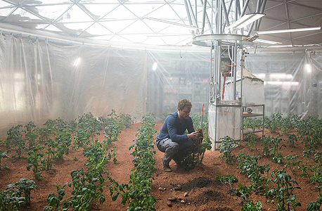 תפוחי אדמה מאדים מט דיימון סרט להציל את מארק ווטני נאס"א, צילום: fox