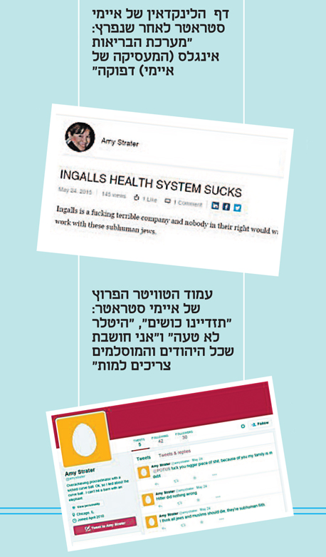 דף  הלינקדאין של איימי סטראטר לאחר שנפרץ: "מערכת הבריאות אינגלס (המעסיקה של איימי) דפוקה"