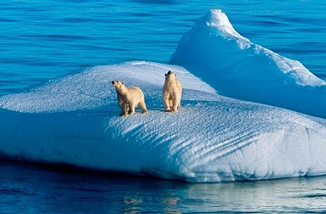 דובים בקוטב הצפוני. מבקרי ההסכם טוענים שההצטרפות המאוחרת של הודו וסין עלולה לבטל את הישגיו