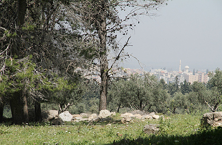 השטח ליד ג'דיידה־מכר שעליו תקום העיר הערבית. "התוכנית צריכה להתייחס למאפיינים הייחודיים של המגזר" 