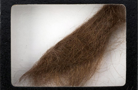 קווצת השיער של ג'ון לנון שנמכרה
