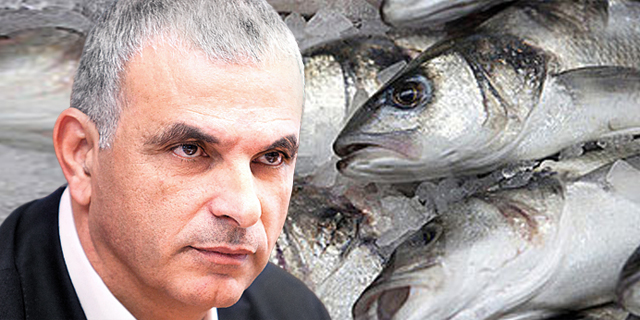 המדינה והחקלאים סיכמו: יבוא אלפי טונות של דגים ללא מכס - לקראת הפסח